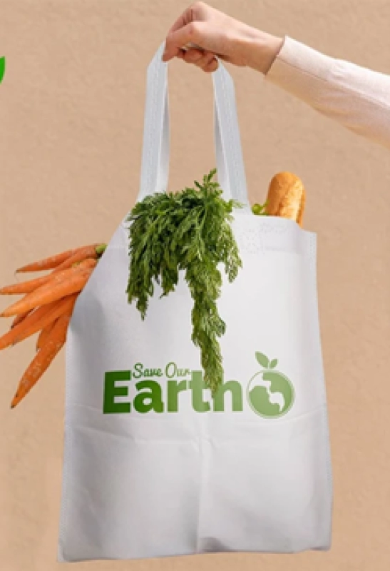 Bolsa Francia en Kambral, de 36 x 43 cmts