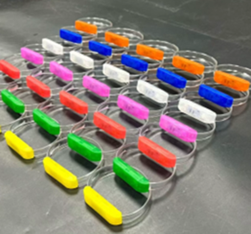 Manilla o Brazalete LED elaborado en ABS, CON Control de Voz