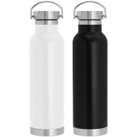 Botella en Acero, 650 ml, tamaño 7.3 x 26 cmts, con aislamiento termico