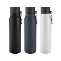Botella de 550 ml doble pared, en acero, de 6.5 x 25 cmts