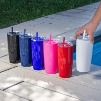 Mug doble pared con Pitillo, de 600 ml, tamaño 18.6 x 6 cmts, en caja