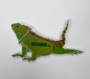 Memoria USB en PVC 2D diseño Iguana