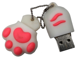 Memoria USB en PVC 2D diseño Pata de Animal