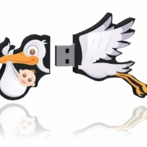 Memoria USB en PVC 2D diseño Cigueña
