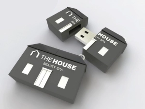 Memoria USB en PVC 2D diseño Casa