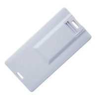 Memoria USB plastica en forma de Mini Tarjeta