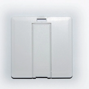 Memoria USB en forma de Tarjeta, en ABS