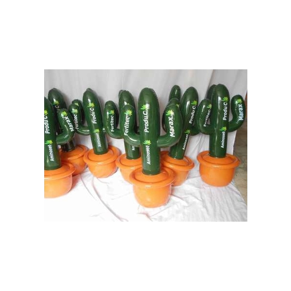 Dummy Inflable en forma de Cactus