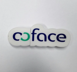 Memoria USB en PVC 2D diseño logo Coface