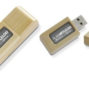 Memoria USB en madera con  domo