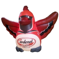 Dummy Estático de Ave